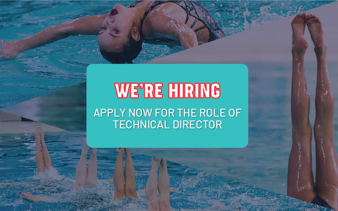 Career Opportunity: Technical Director